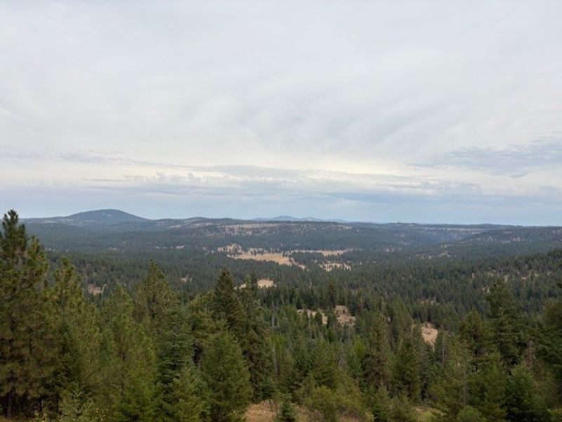 Wildlife and Scenery That Rival Any National Park Wildlife and Scenery That Rival Any National Park