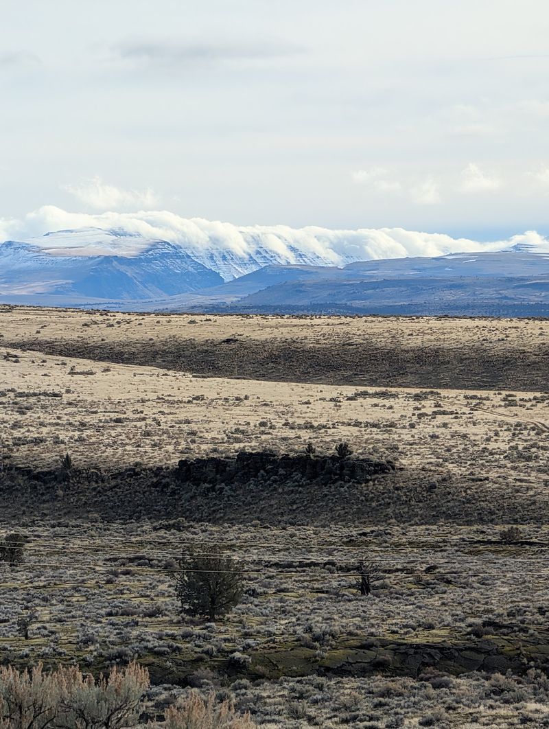 Wildlife and the Broader Landscape Around the Craters