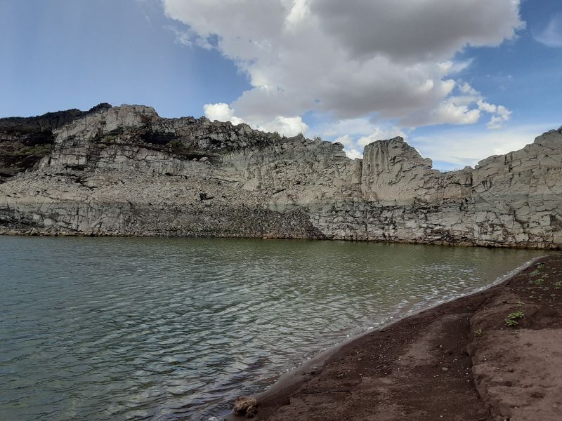 Wildlife and the Rattlesnake Island Warning