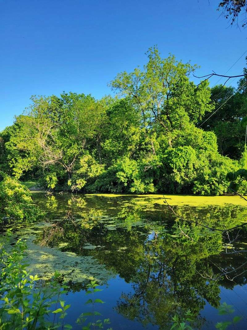 William G. Stratton State Park and the Eastern Stretch