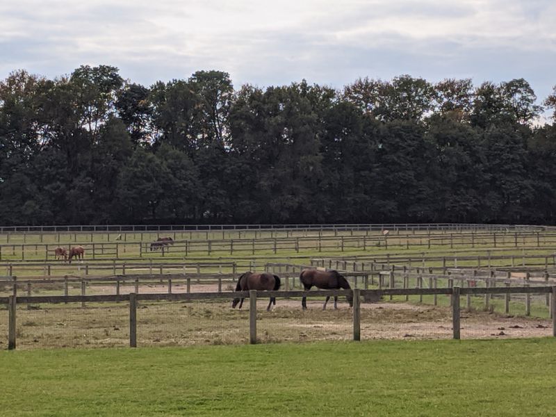 William du Pont Jr.'s Equestrian Legacy: Horses at the Heart of It All William du Pont Jr.'s Equestrian Legacy: Horses at the Heart of It All