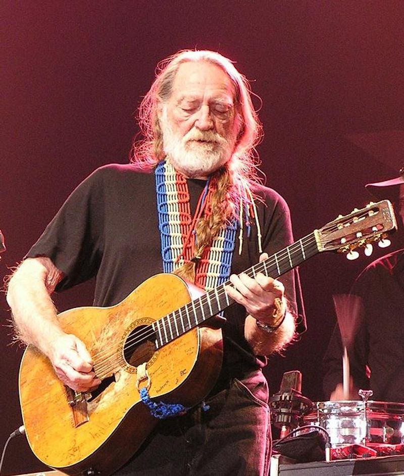 Willie Nelson - Country Singer Willie Nelson - Country Singer