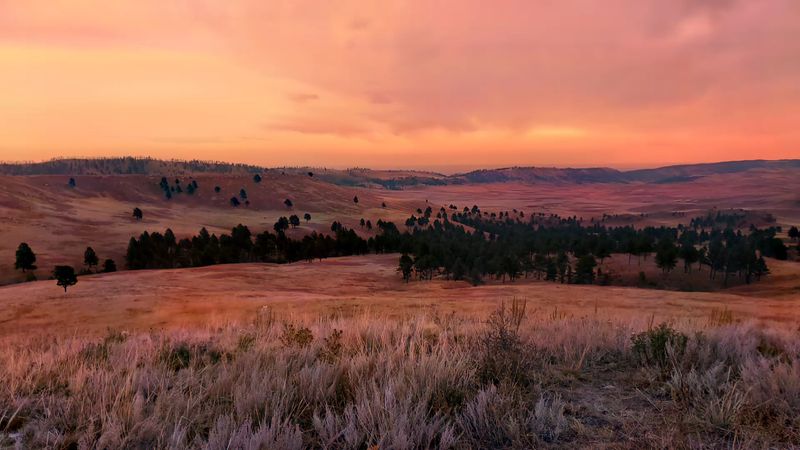 Wind Cave National Park, Hot Springs, South Dakota