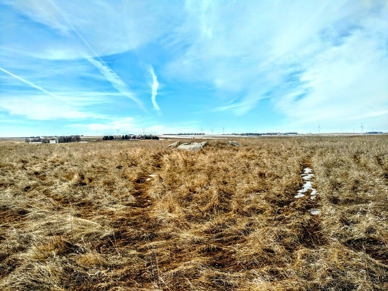 Wind Turbines on the Horizon and What to Expect Wind Turbines on the Horizon and What to Expect
