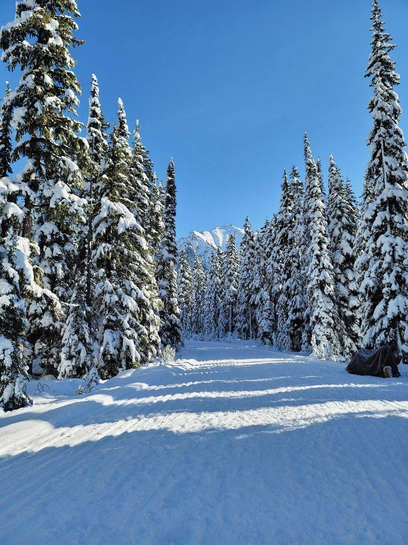Winter Closure and Timing Your Visit Winter Closure and Timing Your Visit