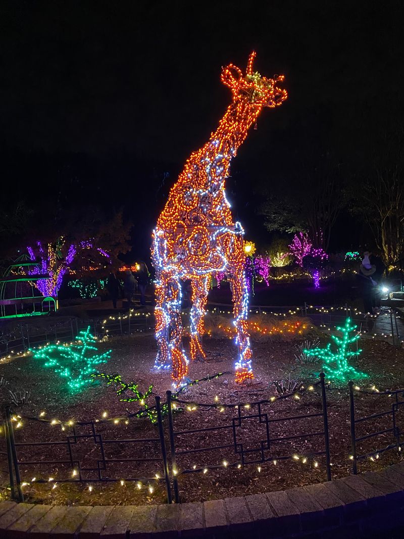 Winter Lights and Year-Round Reasons to Return Winter Lights and Year-Round Reasons to Return