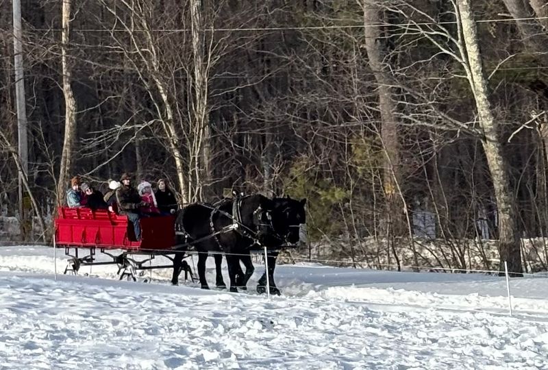 Winter Sleigh Rides and Bonfire Warmth Winter Sleigh Rides and Bonfire Warmth