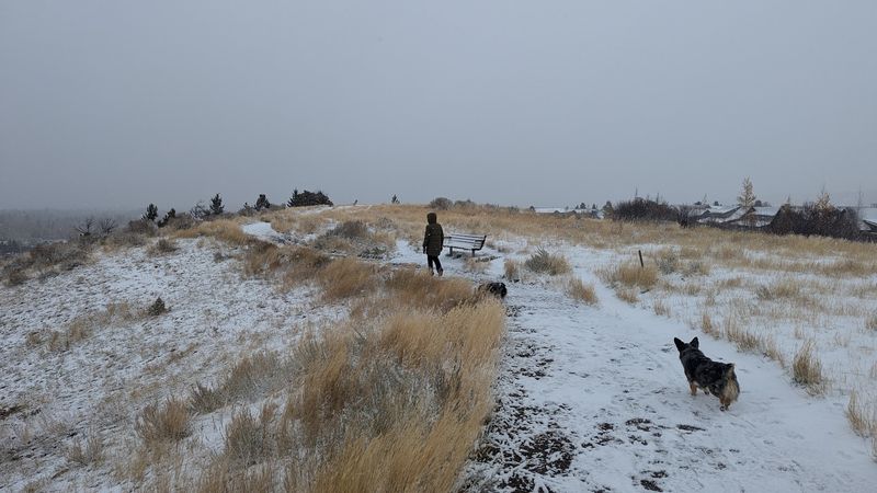 Winter on the Hill: Sledding, Snow, and a Different Kind of Magic