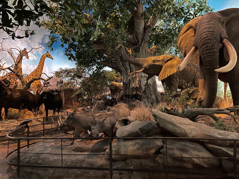 Wonders of Wildlife National Museum & Aquarium, Springfield, Missouri Wonders of Wildlife National Museum & Aquarium, Springfield, Missouri
