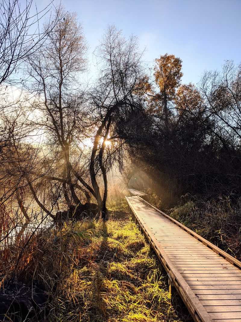 Wooden Paths and Trails Along the Water Wooden Paths and Trails Along the Water