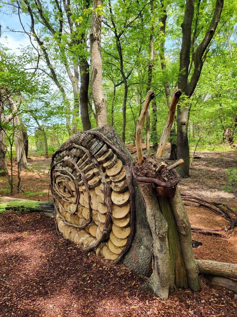 Woodland Trails That Feel Like a Different World