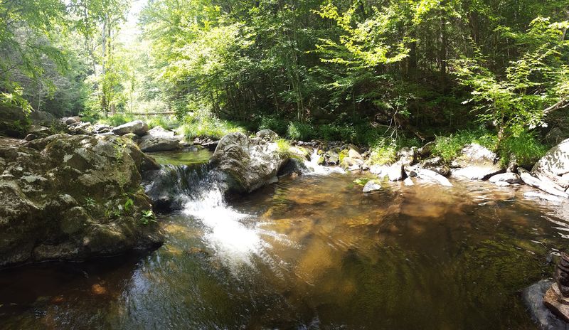 Worth The Trip, Worth Protecting