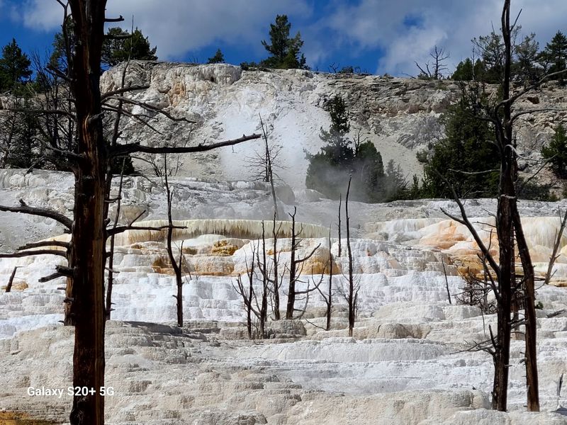 Yellowstone National Park, Mammoth, Wyoming