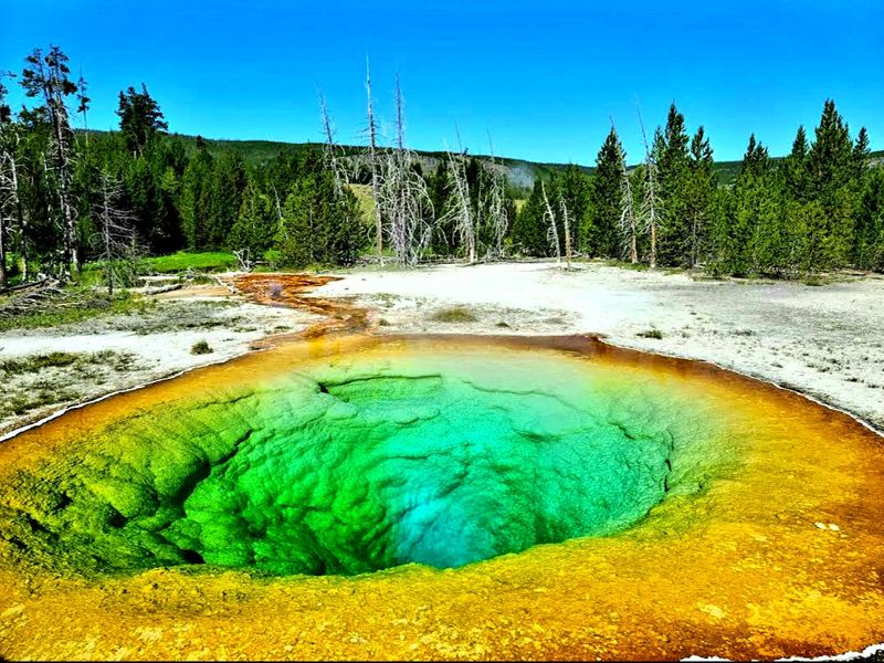 Yellowstone National Park, Wyoming, USA