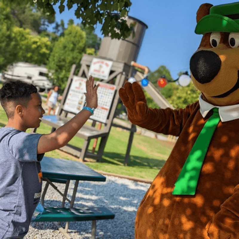 Yogi Bear And The Bear Birthday Packages Yogi Bear And The Bear Birthday Packages