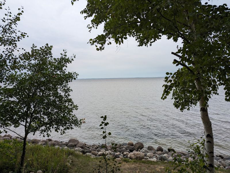 Zebra Mussels And The Changing Ecosystem