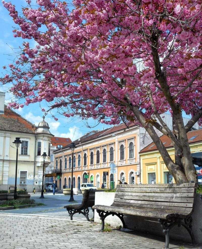 Zemun