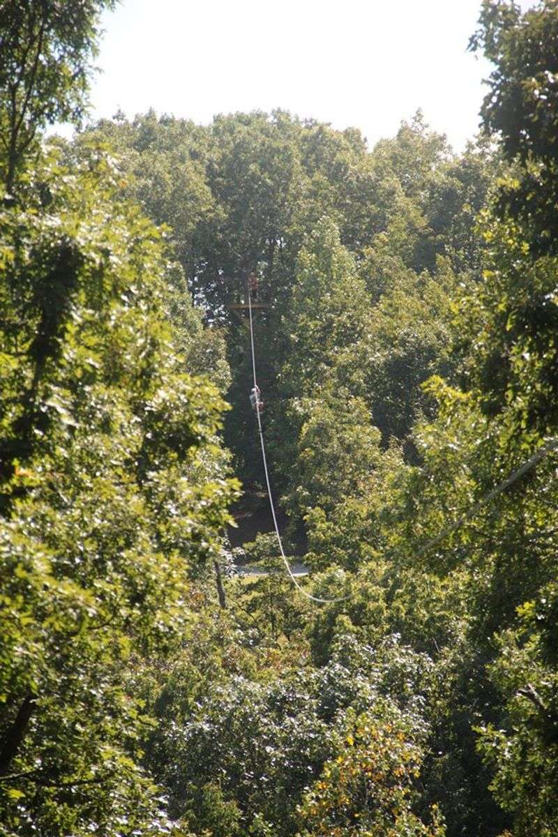 Ziplining Above the Treetops