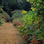 This Minnesota State Park Feels Like A Hidden Oasis In The Middle Of Farm Country