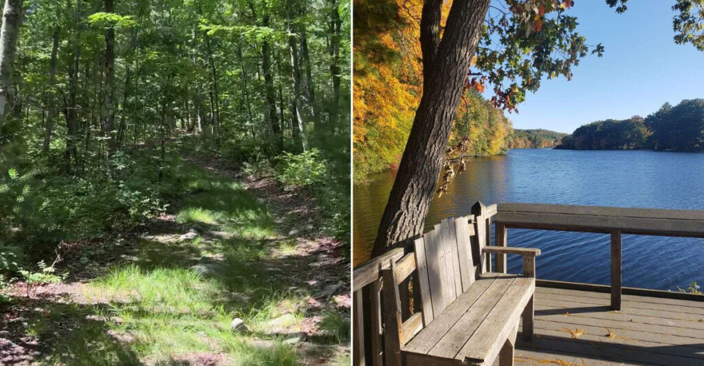 This Rhode Island Forest Trail Climbs to a View Toward Providence