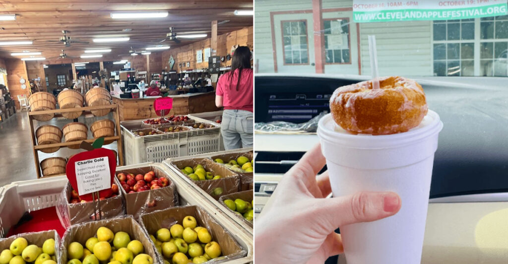 This Tennessee Apple Orchard Bakes Cider Donuts And Hand Pies Worth The Fall Drive