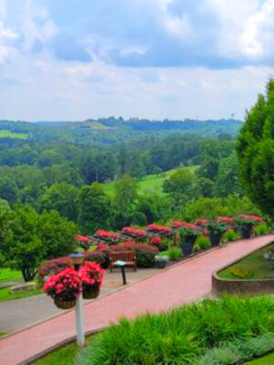 These Elegant Gardens in Wheeling, West Virginia, Add a Burst of Color to One of the State’s Most Famous Resorts
