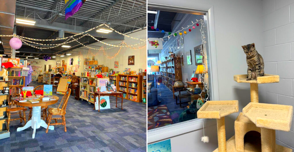 This Nebraska Bookstore Has a Secret Cat Room Where Rescue Cats Find New Homes