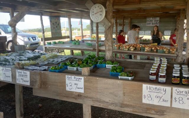 This Tiny Oklahoma Farm Stand Is Winning Fans With Fresh Produce