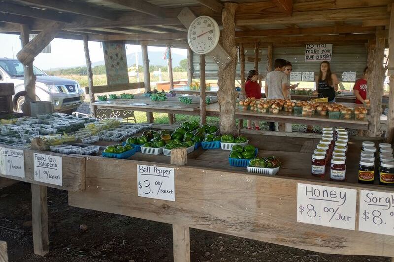 This Tiny Oklahoma Farm Stand Is Winning Fans With Fresh Produce