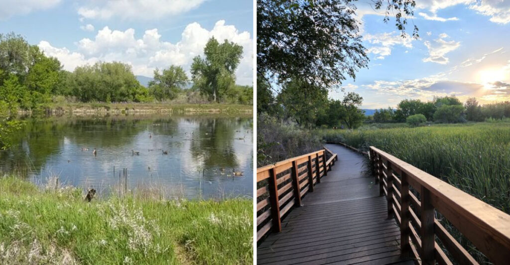 These Colorado Gravel Pits Were Transformed Into A Beautiful Wildlife Haven