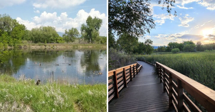 These Colorado Gravel Pits Were Transformed Into A Beautiful Wildlife Haven