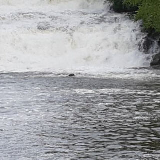 This Hidden Illinois Swimming Hole Has a Natural Waterfall Right Above It