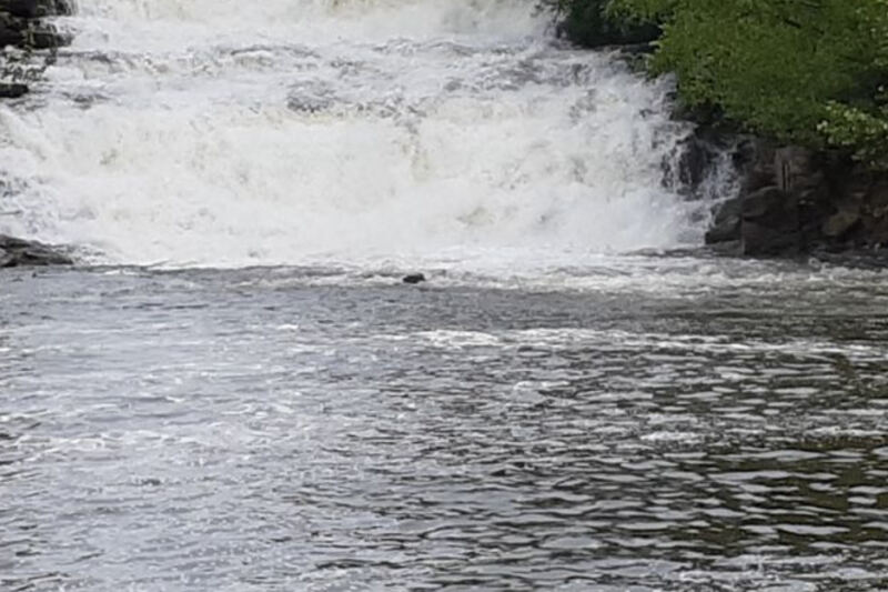 This Hidden Illinois Swimming Hole Has a Natural Waterfall Right Above It