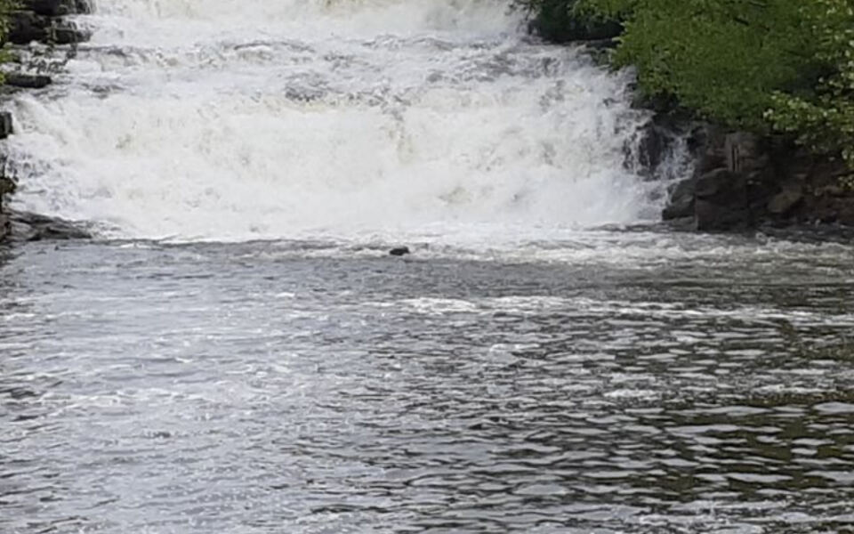 This Hidden Illinois Swimming Hole Has a Natural Waterfall Right Above It
