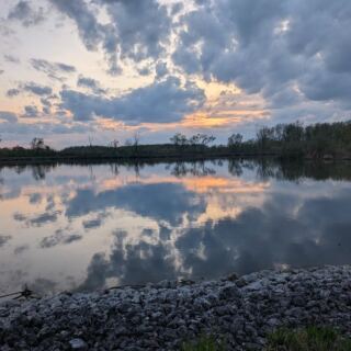 This Ohio Wetland Refuge Turns Into A Front-Row Seat For Fall’s Bird Migration