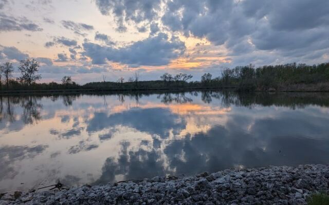This Ohio Wetland Refuge Turns Into A Front-Row Seat For Fall’s Bird Migration