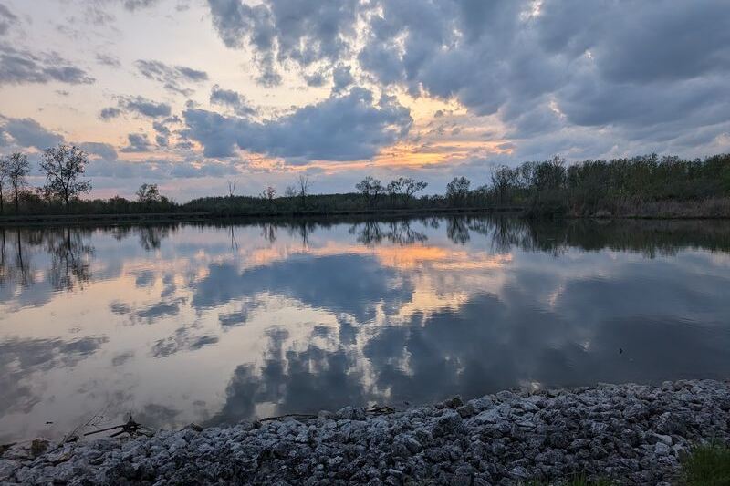 This Ohio Wetland Refuge Turns Into A Front-Row Seat For Fall’s Bird Migration