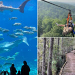 16 Only-in-Georgia Places That Make The Peach State Truly One Of A Kind