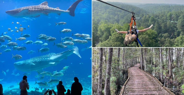 16 Only-in-Georgia Places That Make The Peach State Truly One Of A Kind
