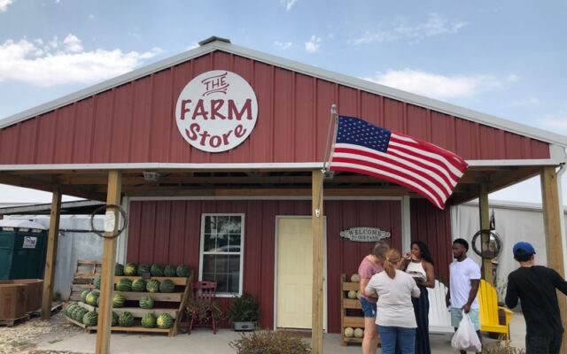 At This Family-Run Texas Farm Store, Day-Trippers Load Up On Fresh Produce, Local Honey, And Homemade Ice Cream