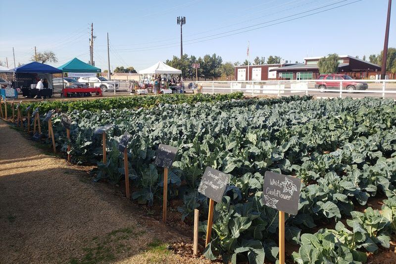 This Family-Run Arizona Ranch Wins Over Food Lovers With Fresh Produce, Homemade Pies, And Local Honey And Fudge