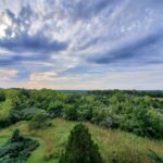 This Free Ohio Arboretum Hides a 65-Foot Tree Tower With Views That Steal the Whole Afternoon