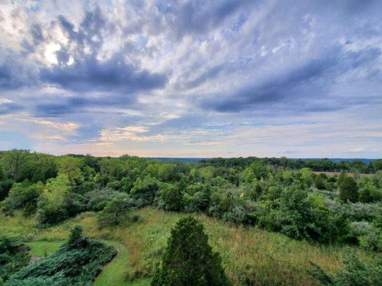 This Free Ohio Arboretum Hides a 65-Foot Tree Tower With Views That Steal the Whole Afternoon