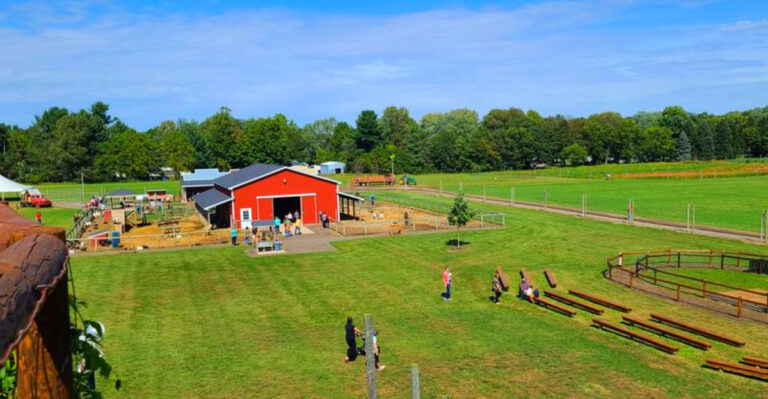 This Popular Michigan Farm Feels Like a Fall Festival – With Apple Picking, Donuts, and a Giant Corn Maze