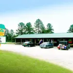 Five Generations of Peach Farming and a Roadside Stand Worth the Drive in North Carolina