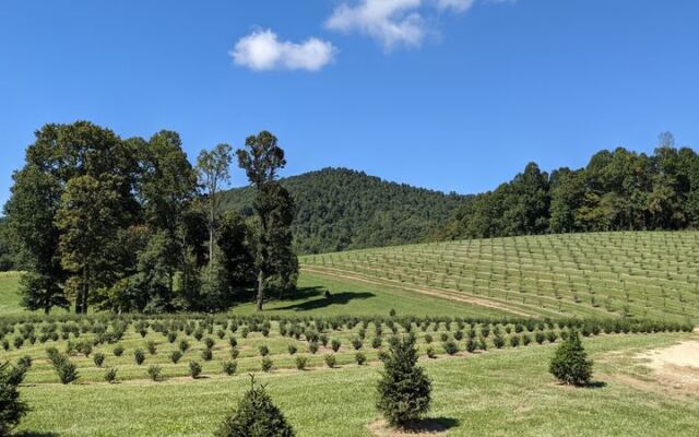 This North Carolina Orchard Bakes Cider Donuts Fresh While You Pick Apples In The Mountains