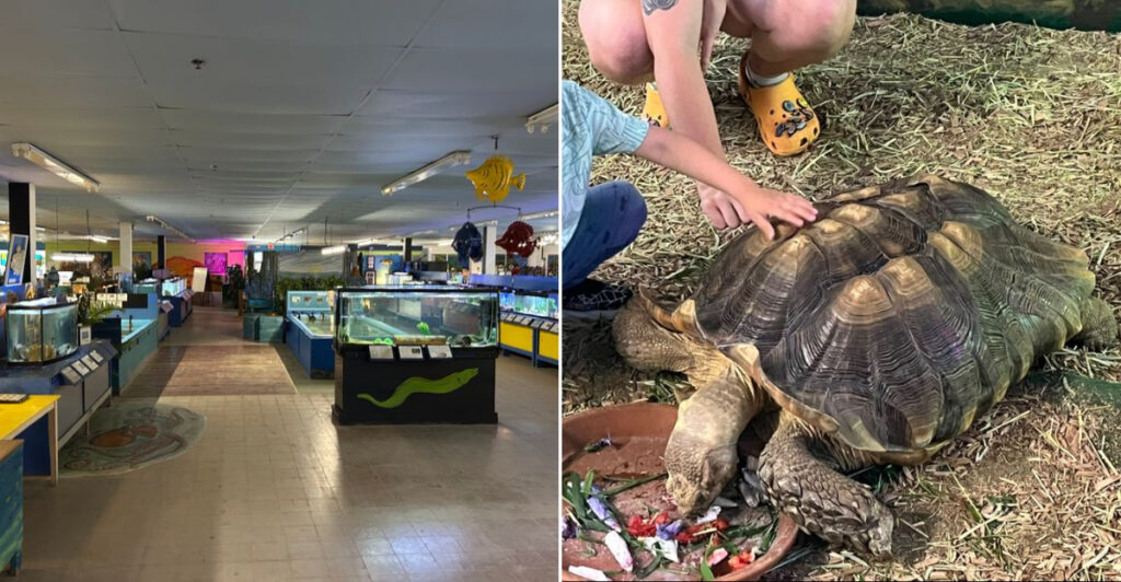 This Rhode Island Aquarium Turns Narragansett Bay Into A Family Adventure