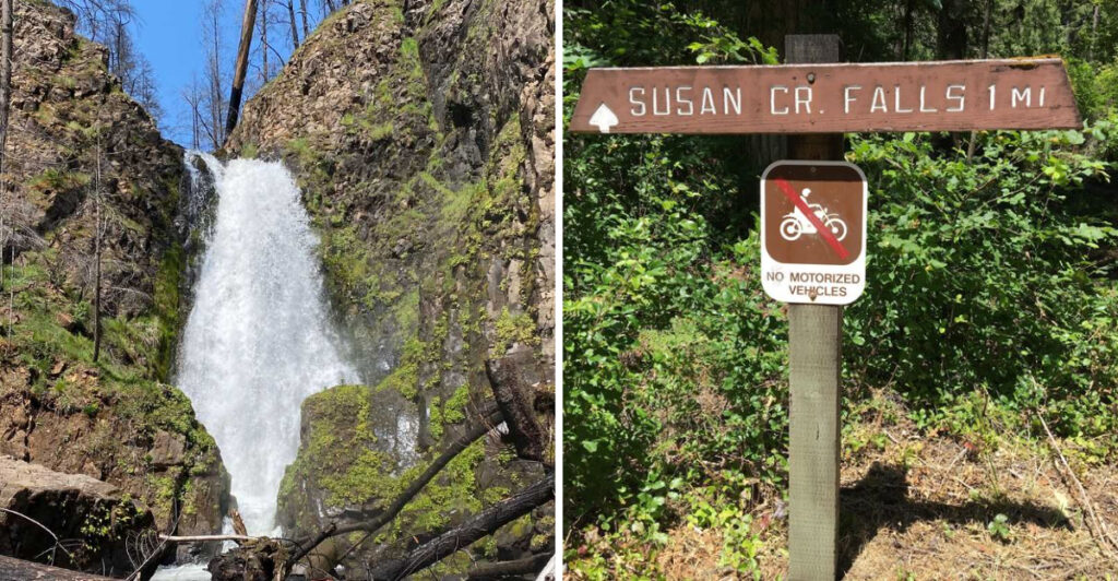 This Oregon Forest Trail Reaches a 50-Foot Waterfall in 0.8 Miles