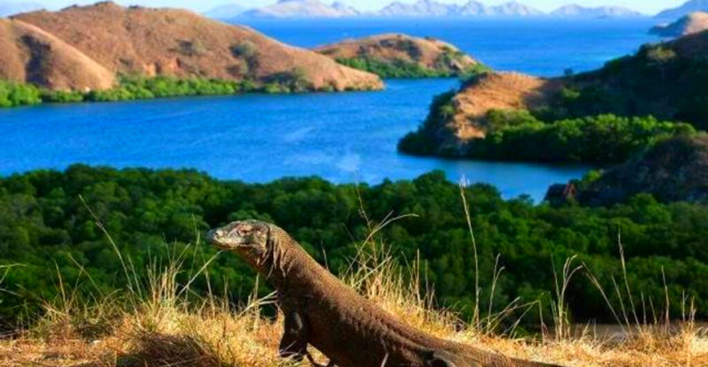14 Wildlife Destinations That Feel Completely Prehistoric