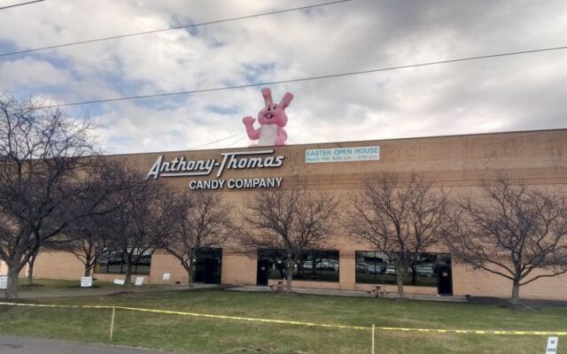 This Columbus Chocolate Factory Lets You Watch Buckeyes Get Dipped By The Thousands